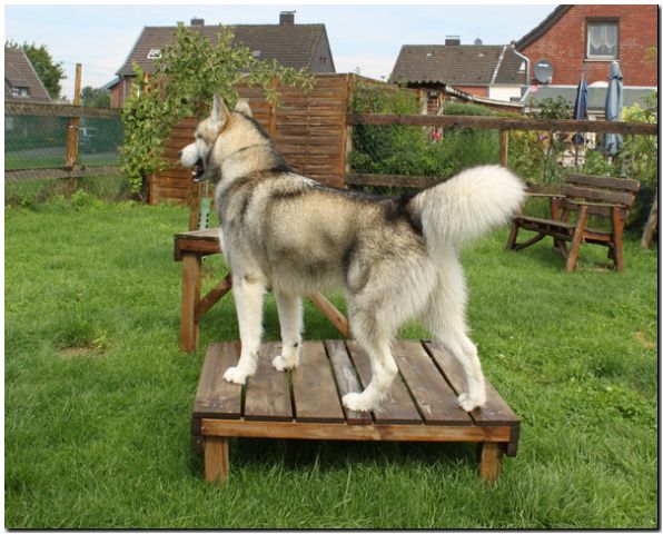 Besuch Nanooq 183.jpg